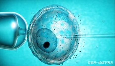 Dr. Zhang